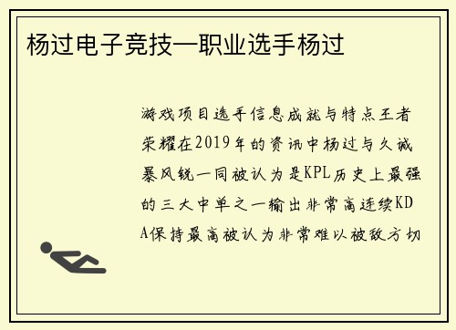 杨过电子竞技—职业选手杨过